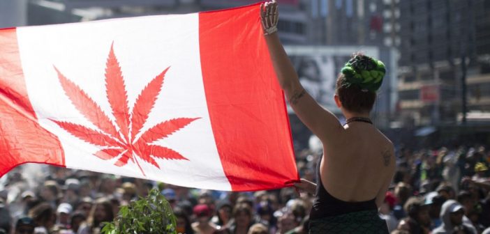 Canada’s Legalization Announcement The Experts Weigh In