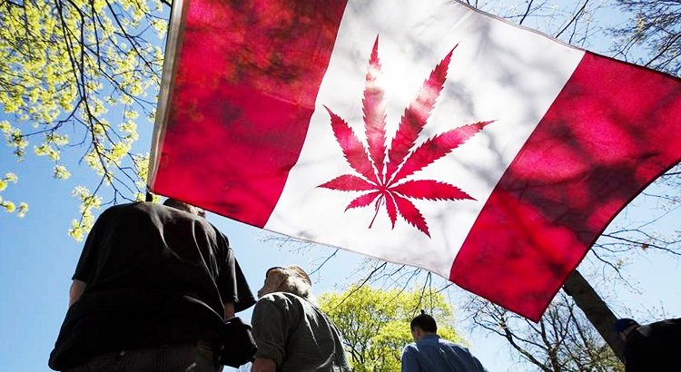 Legal Pot Will Be Available By Canada Day 2018