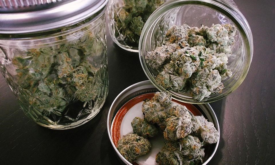 Tips to Store and Prolong Your Cannabis