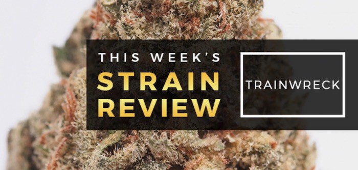 Trainwreck Marijuana Strain Review