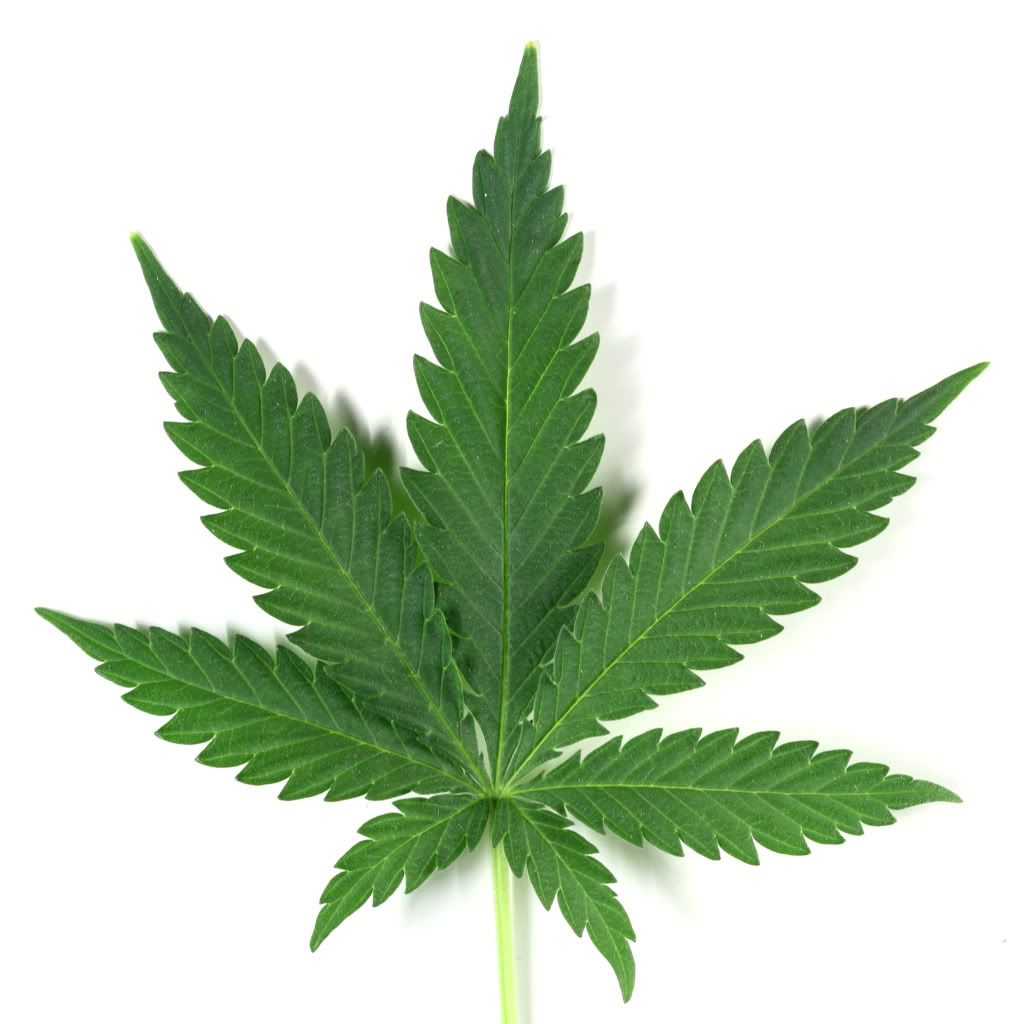 Will Connecticut Next To Legalize Marijuana