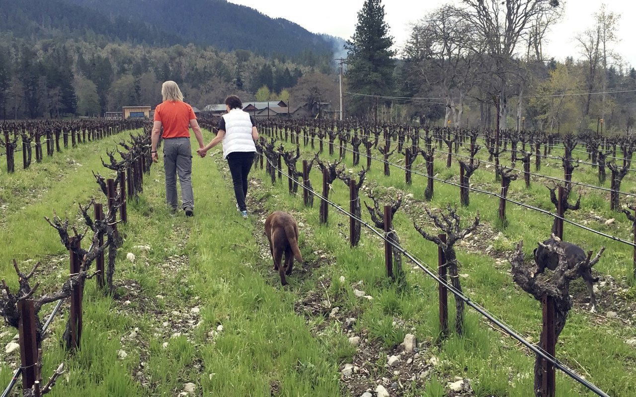 Wine and Cannabis Oregon Vineyards Give Marijuana Farming a Try