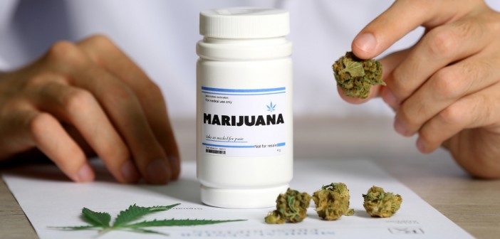 Massachusetts White House Seeks Medical Marijuana Patients’ Data