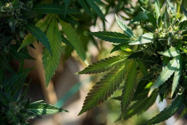 Atlanta ordinance on marijuana possession one step closer to being passed