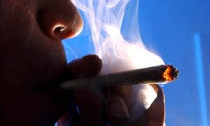 High libido Cannabis smokers have 20% more sex, researchers find