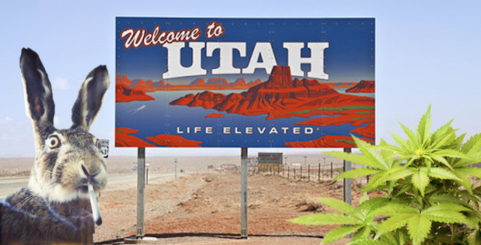 New Poll Says Utah Supports Marijuana