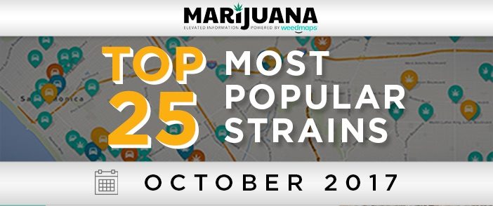 25 Most Popular Strains Across North America in October