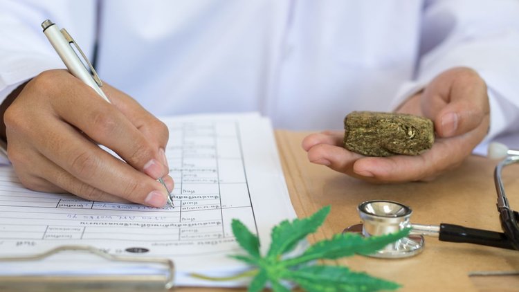 Burgeoning Marijuana Industry Has a Growing Need for Scientists