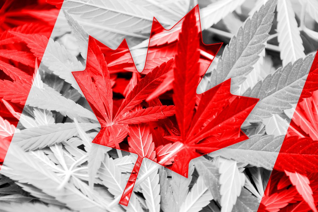 Economist Canada’s illicit marijuana market worth CA$22 billion