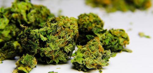 FDA Issues Warnings To Companies Making Fake Claims Marijuana Makes Cancer Cells Commit Suicide