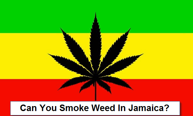 Jamaica Regulating medical cannabis is no joke