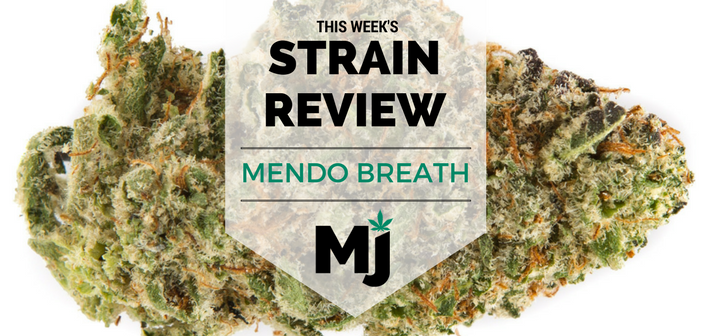 Mendo Breath Marijuana Strain Review