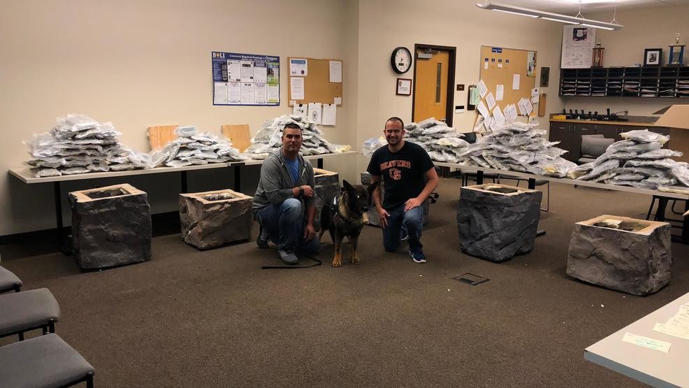 Springfield Police Man packed fake rocks with marijuana for shipment to other states