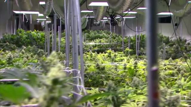State Unveils List of Proposed Rules for Medical Marijuana