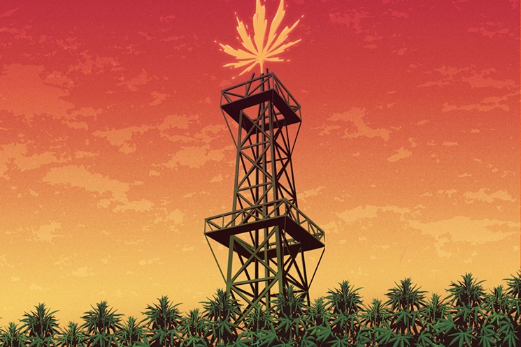 The CBD oil boom Making money on medical marijuana for the masses