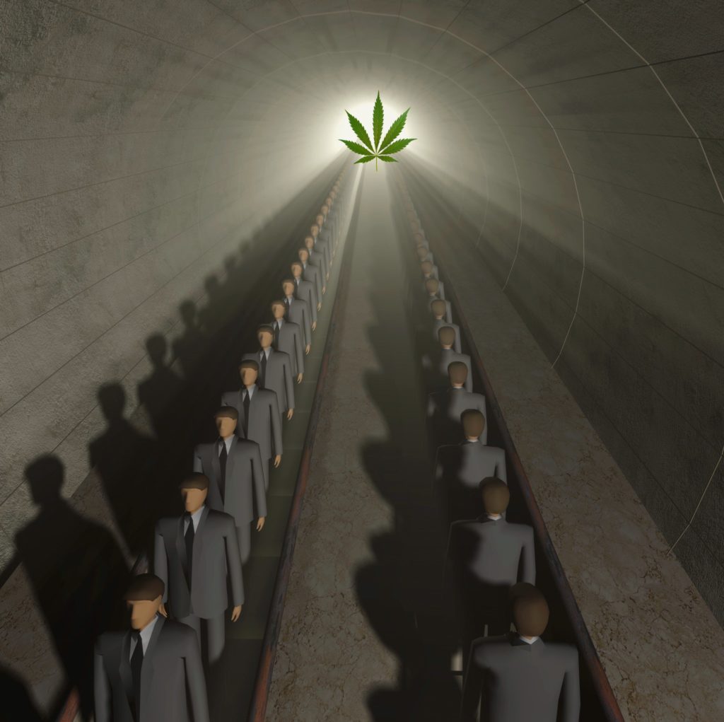 The Commercialization of Marijuana