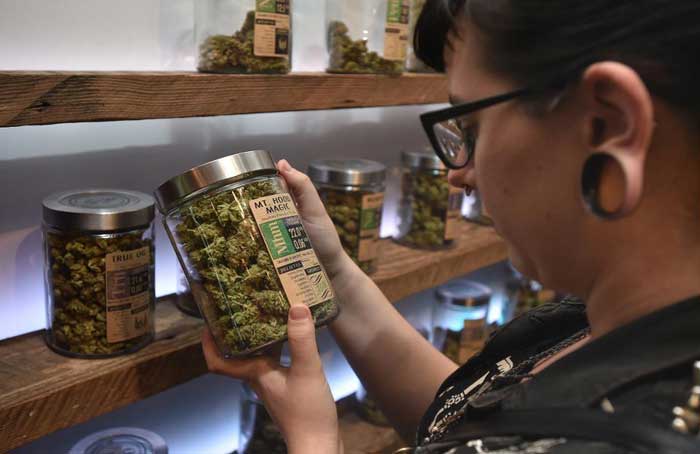 Weed shops, lounges, delivery services can apply for licenses in WeHo starting in January