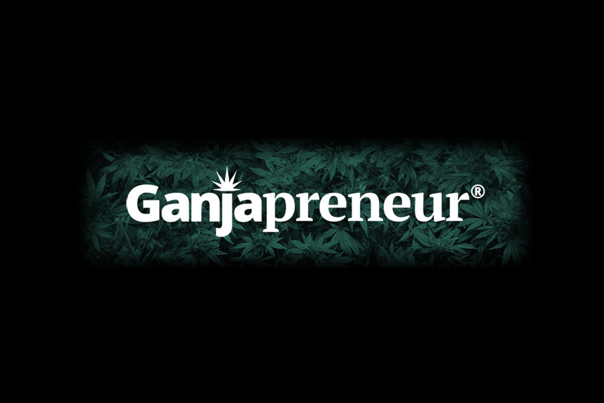 Are You The Next Ganjapreneur