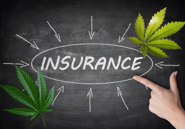 California Marijuana insurance viable option for recreational and medical cannabis companies