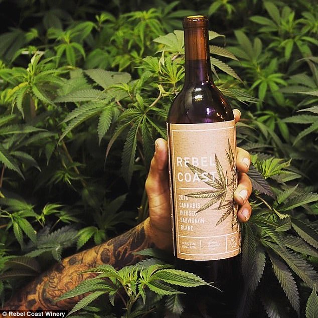 California winery introduces the world's first marijuana-infused WINE that will get drinkers high instead of drunk - and promises NO hangovers