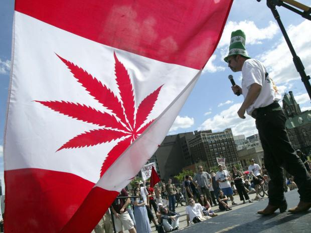 Canada could be on the cusp of a cannabis revolution