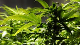 Canada, provinces reach tax deal for recreational marijuana