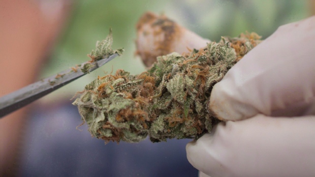 CanniMed announces agreement to supply medical cannabis to PharmaChoice