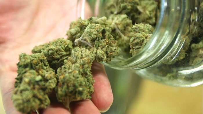 Draft marijuana regulations released for public comment