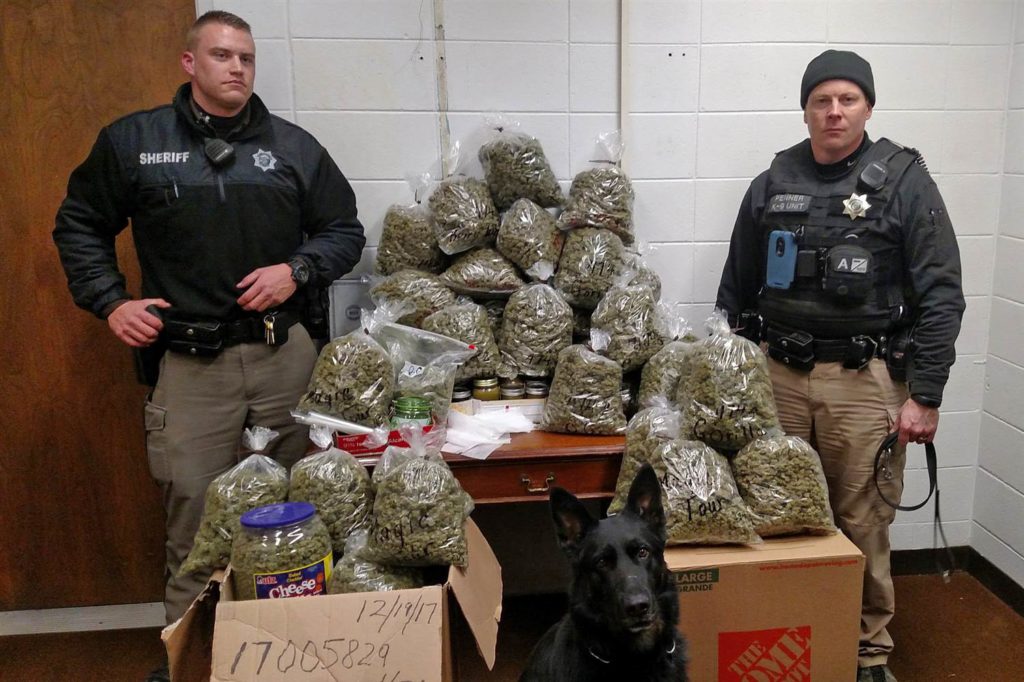 Elderly couple had 60 pounds of marijuana ‘presents,’ police say