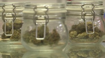 Health and Safety screening standards for recreational marijuana won’t kick in until July 1