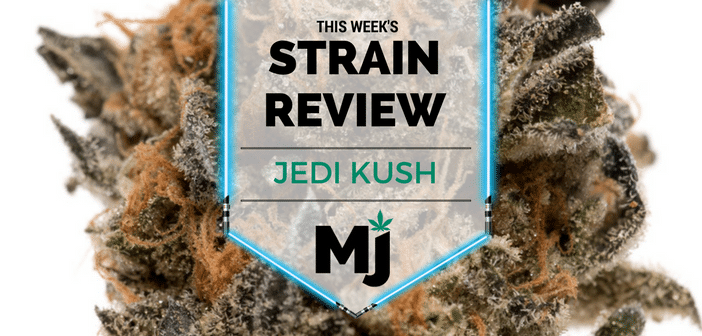 Jedi Kush Marijuana Strain Review