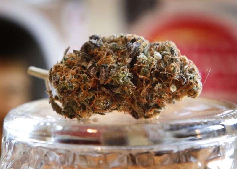 Joy to the Weed! Marijuana Legalization Comes Bearing Gifts