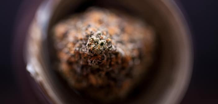 Major Investment Firm Urges Cannabis Caution, Despite Legalization Enthusiasm