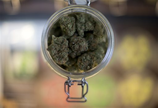 Marijuana-bust-sparks-legalization-debate