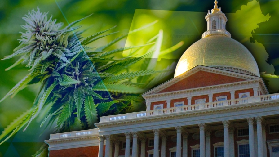 Marijuana regulators rolling out rules for legal pot
