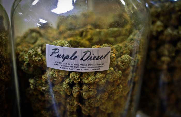 Maryland medical marijuana dispensaries are already running out of pot