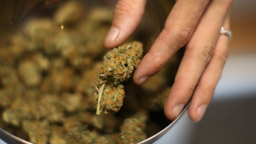 FILE: U.S. Won't Sue To Challenge State Marijuana Laws Los Angeles To Not Enforce Ban On Marijuana Dispensaries