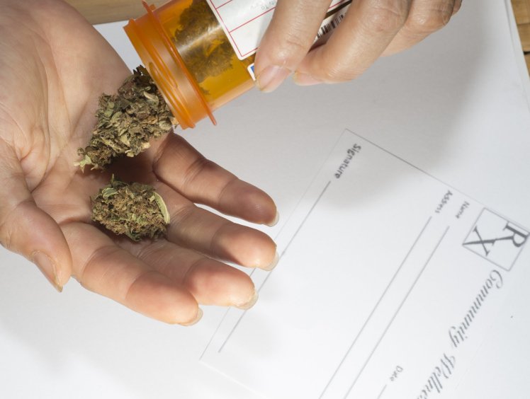 Medical marijuana has no health risks, WHO declares