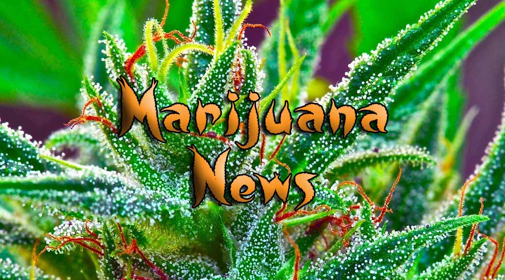 Medical marijuana hearing is Monday in Williston