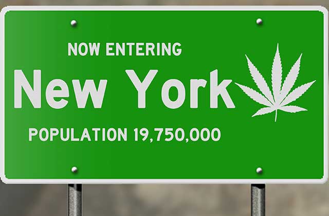 New York How do doctors qualify for Medical Marijuana Program