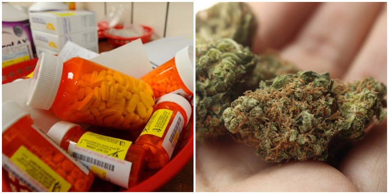 Oregon Cannabis company offers brilliant solution to Opioid Crisis Trade your drugs for weed