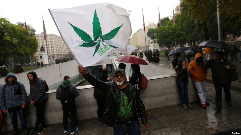 Paraguay Congress legalizes planting of medical marijuana