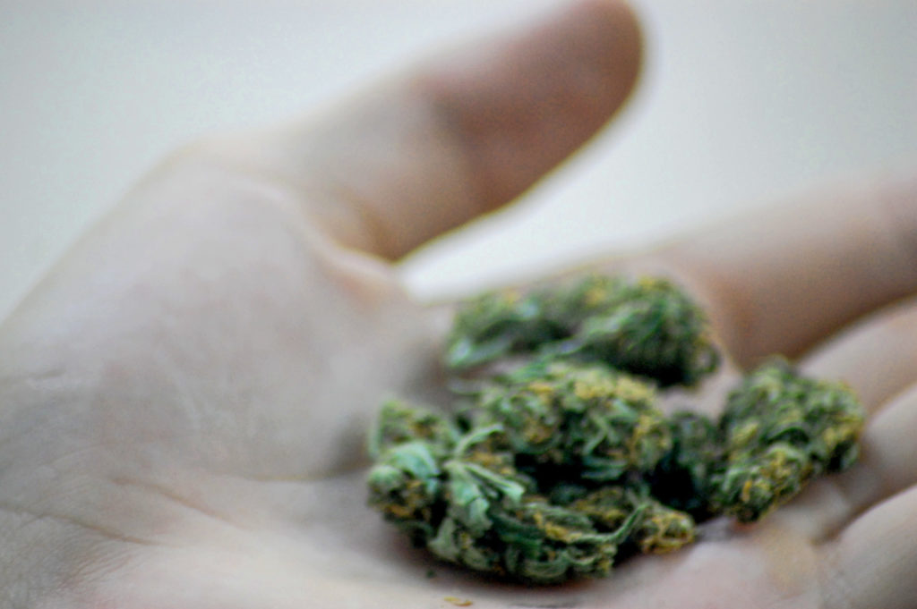 State accuses Frozen Budz of selling moldy marijuana edibles