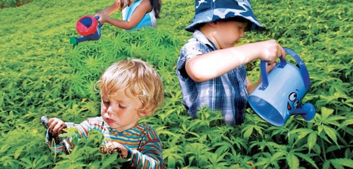 Study Majority of Physicians OK With MMJ for Kids with Cancer