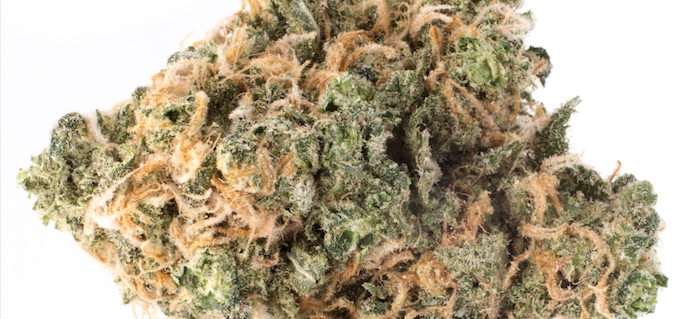 Super Blue Dream Marijuana Strain Review