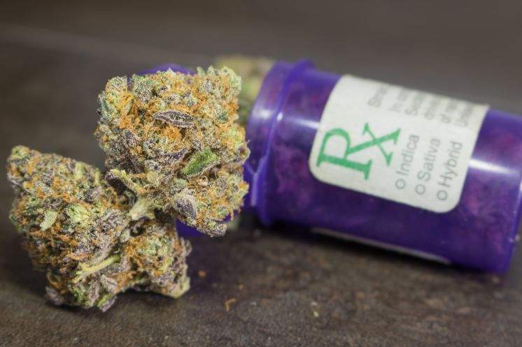 Tarpon moves forward with marijuana dispensaries
