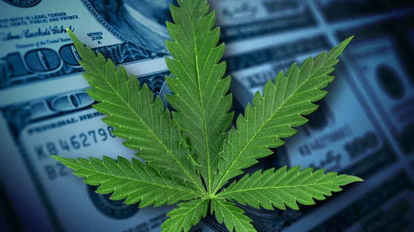 Taxes on wholesale marijuana frustrate Alaska growers
