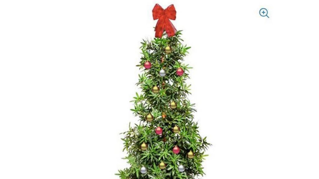 Walmart was selling a marijuana Christmas tree that will ‘light up’ the room