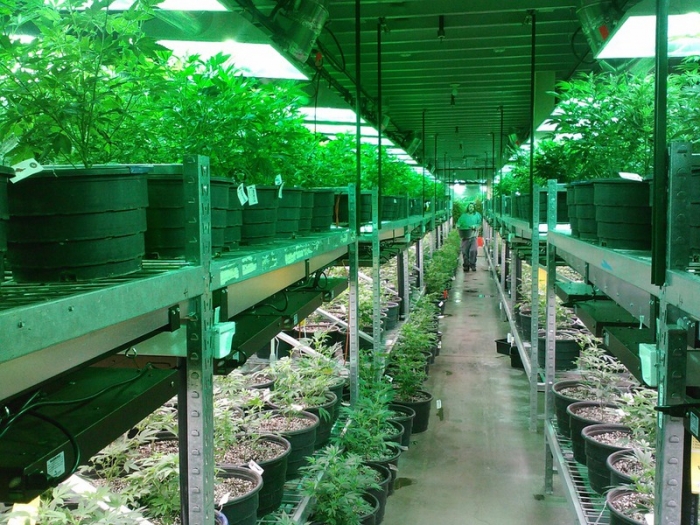 Nevada's recreational marijuana market approached $200M last year