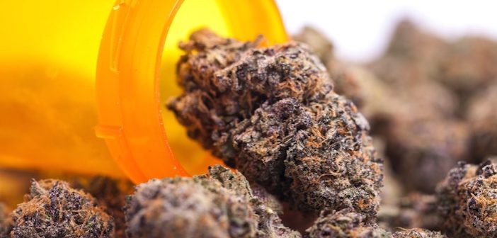 Phase 2 PA Rolls Out Applications For More Dispensaries and Medical Marijuana Research